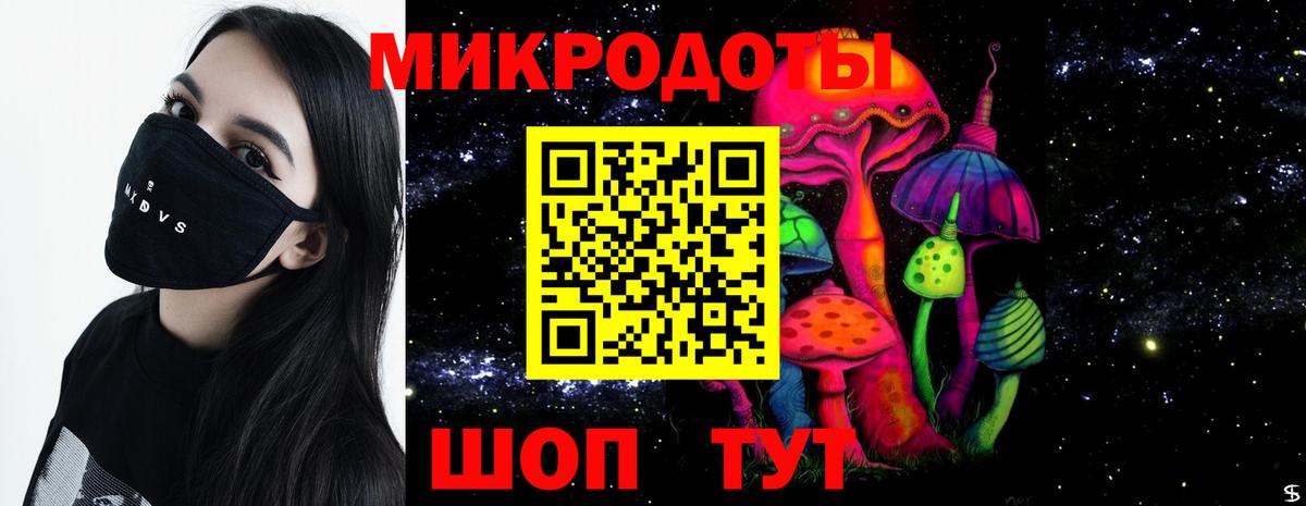 Сунжа  Галлюциногенные грибы мицелий  Вход с VPN  Галлюциногенные грибы мухоморы 